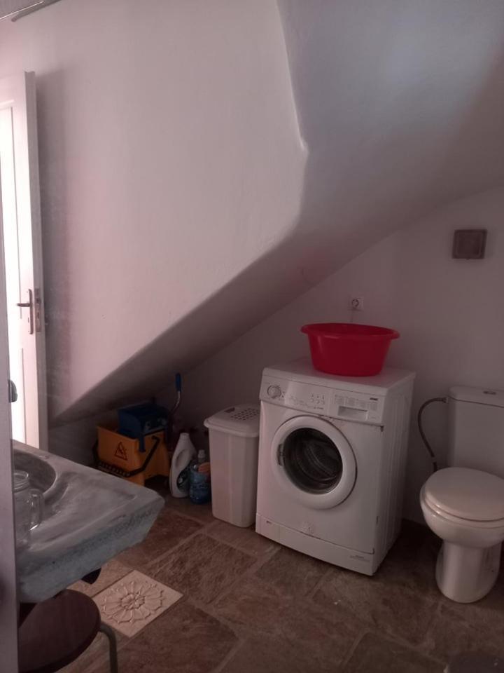 Arthome1 Pánormosz Kültér fotó