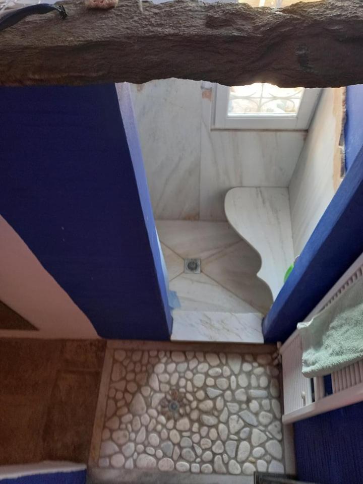 Arthome1 Pánormosz Kültér fotó